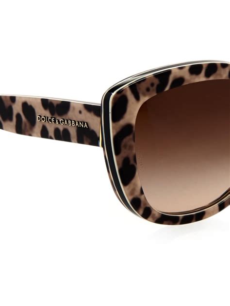 dolce gabbana sonnenbrille damen leopard|Sonnenbrille New Print in Leopard.